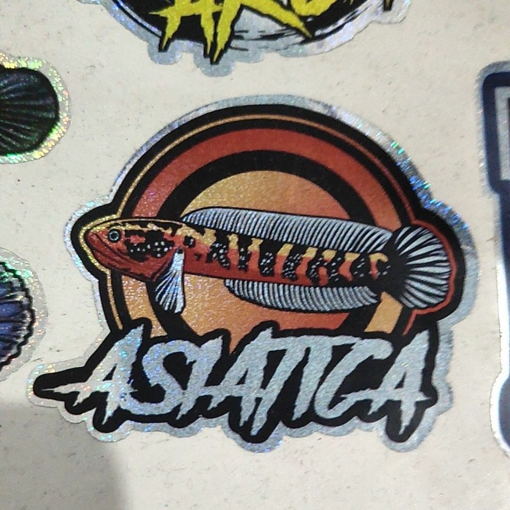 stiker channa asiatica RSP HET GOLDEN