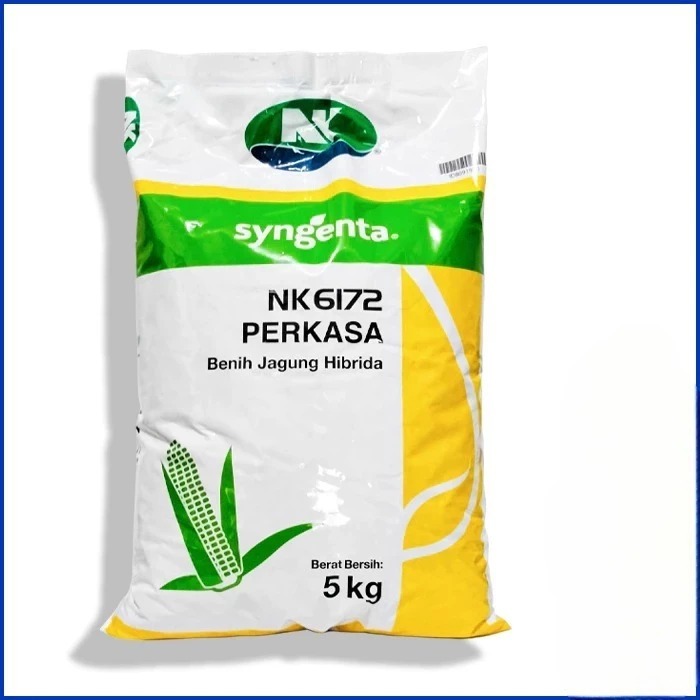Benih JAGUNG HIBRIDA NK 6172 PERKASA 1KG Bibit Jagung Jagung Perkasa Bibit NK Perkasa
