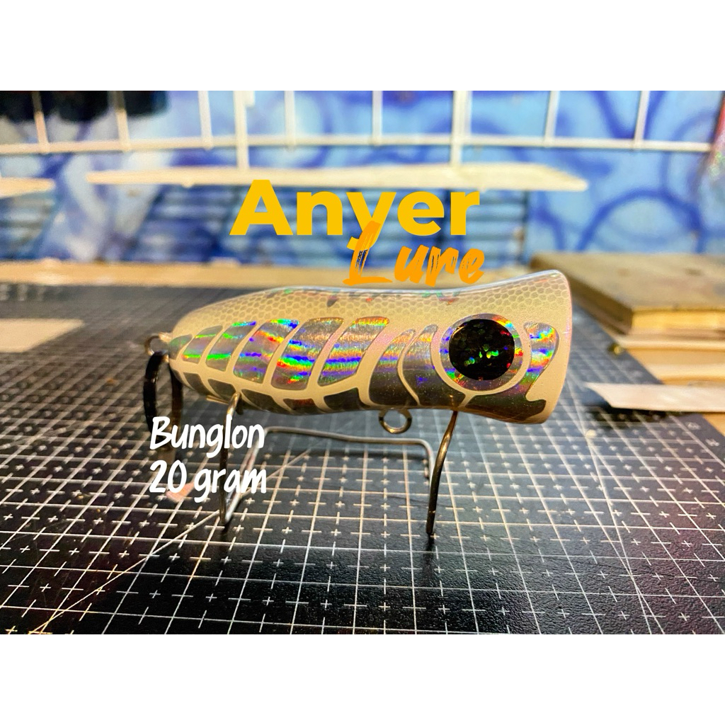 Anyer lure