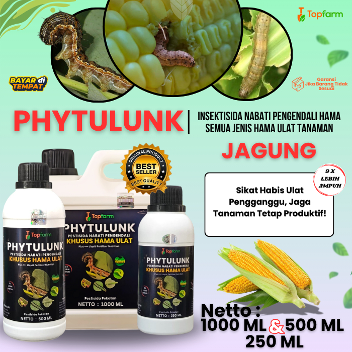 Obat Pembasmi Hama Ulat Jagung / Obat Semprot Hama Ulat Grayak Pada Jagung / Pestisida Untuk Ulat Pa