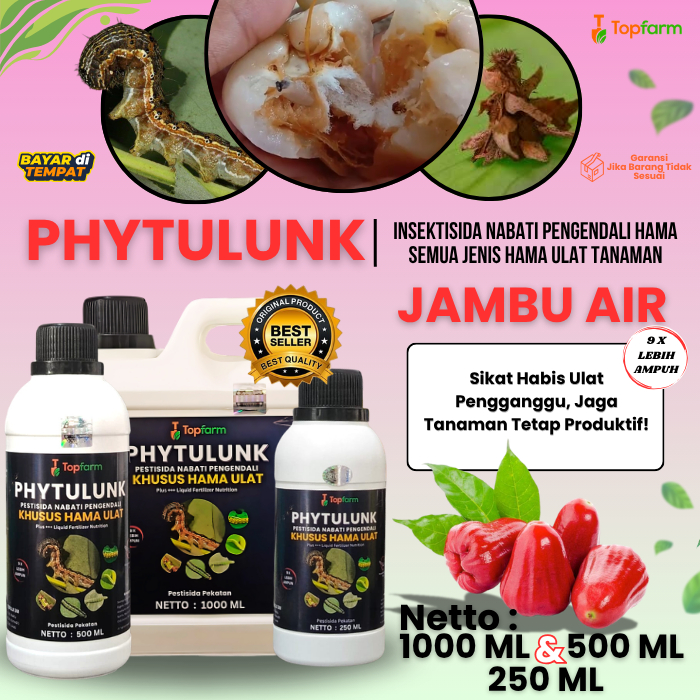 Obat Pembasmi Ulat Jambu Air / Pestisida Pengendali Hama Pemakan Buah Jambu Air / Obat Semprot Pemba