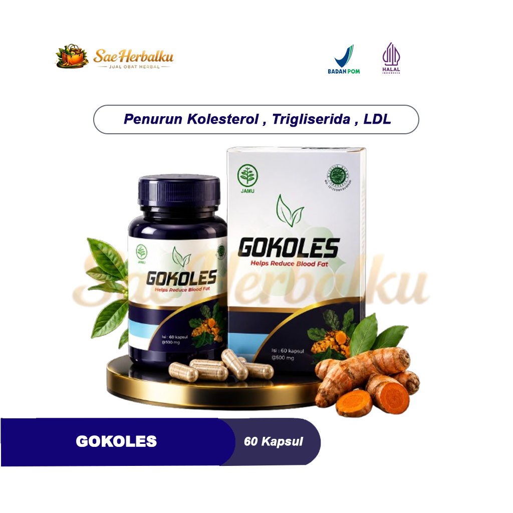 Gokoles Obat Kolesterol BPOM HALAL ORIGINAL