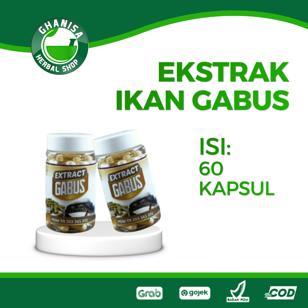EKSTRAK IKAN GABUS 60 KAPSUL - SYIFA HERBAL