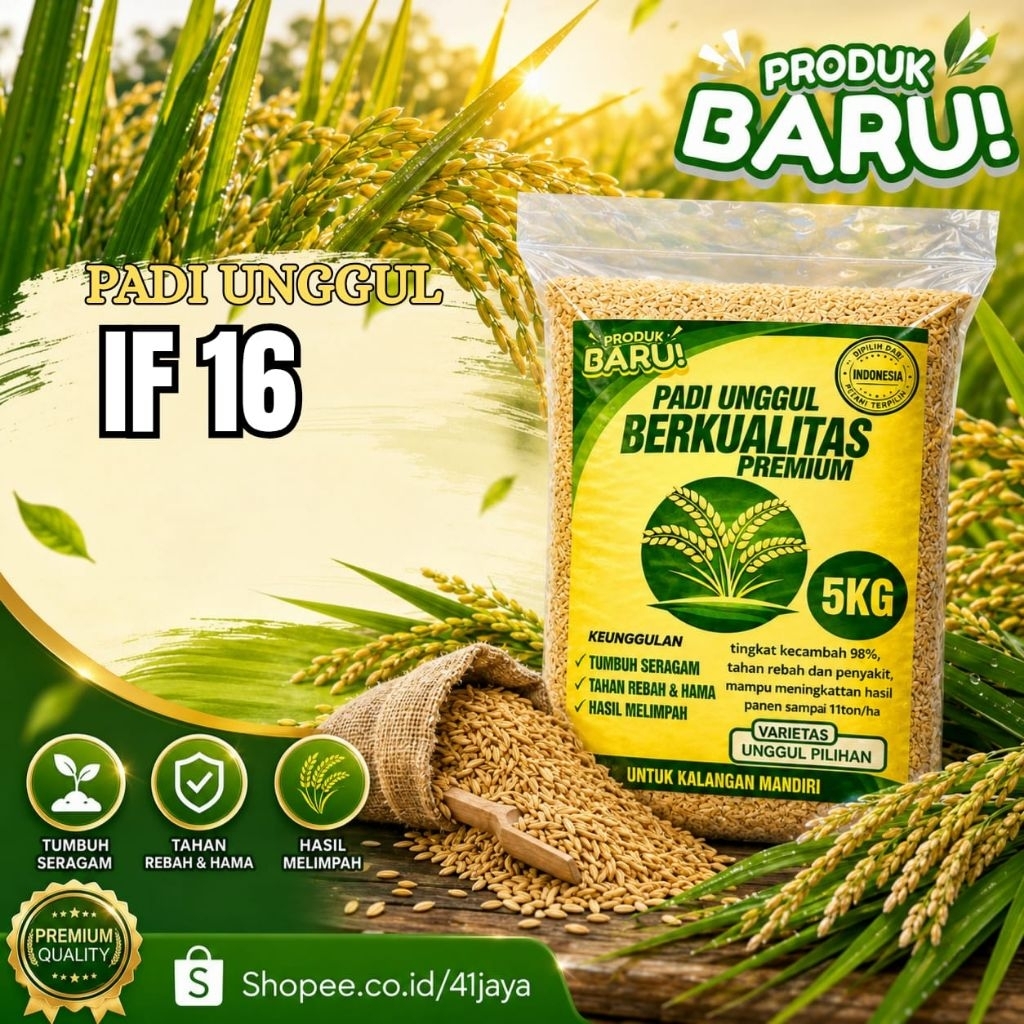 BENIH PADI UNGGAL IF 16 PREMIUM 5kg