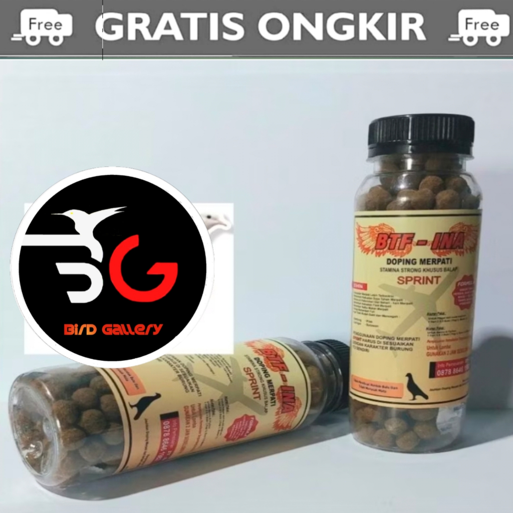 BTF INA SPRINT DOPING MERPATI BALAP JAMU MERPATI BALAP BTF INA SPRINT