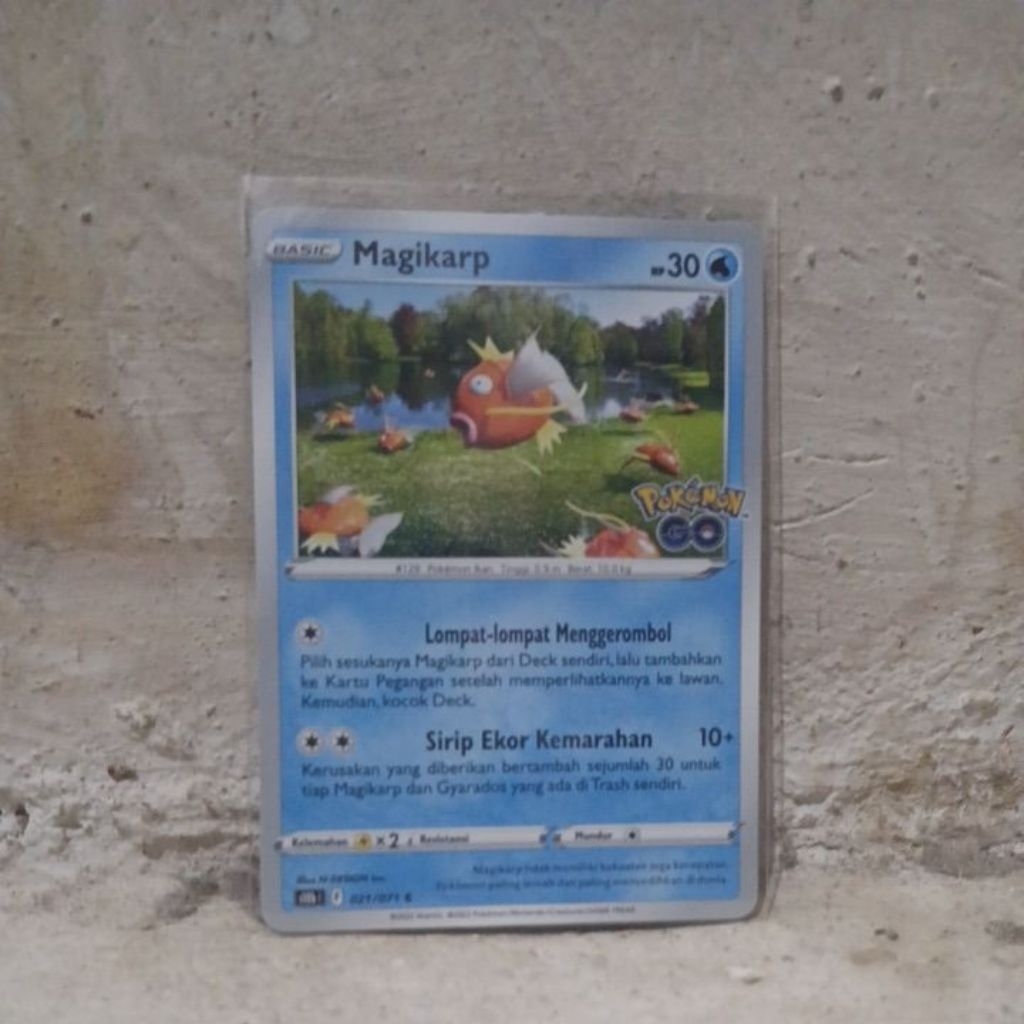 kartu magikarp pokemon go