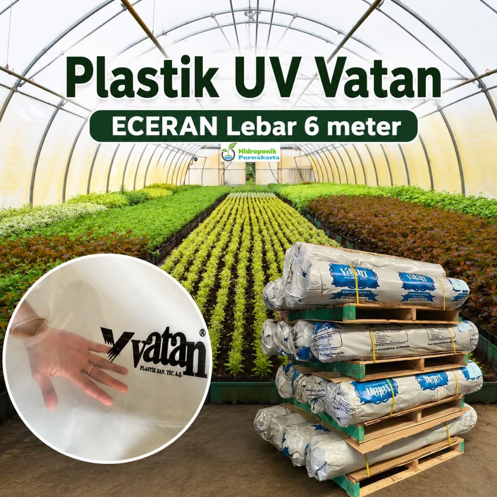 Plastik UV Vatan LEBAR 6 Meter, Plastik UV Vatan ECERAN