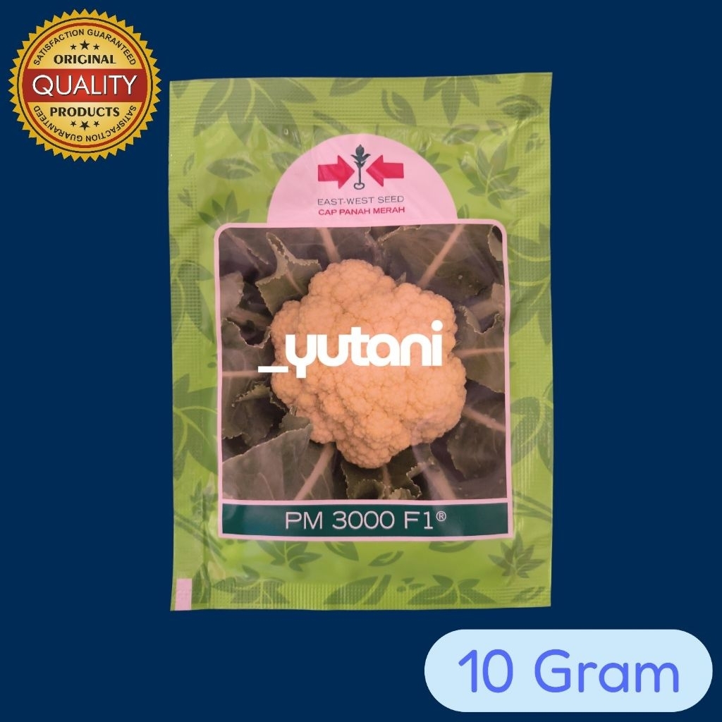 yutani PM 3000 ( PM3000 ) F1 10 Gram Benih Kembang Kol Cap Panah Merah