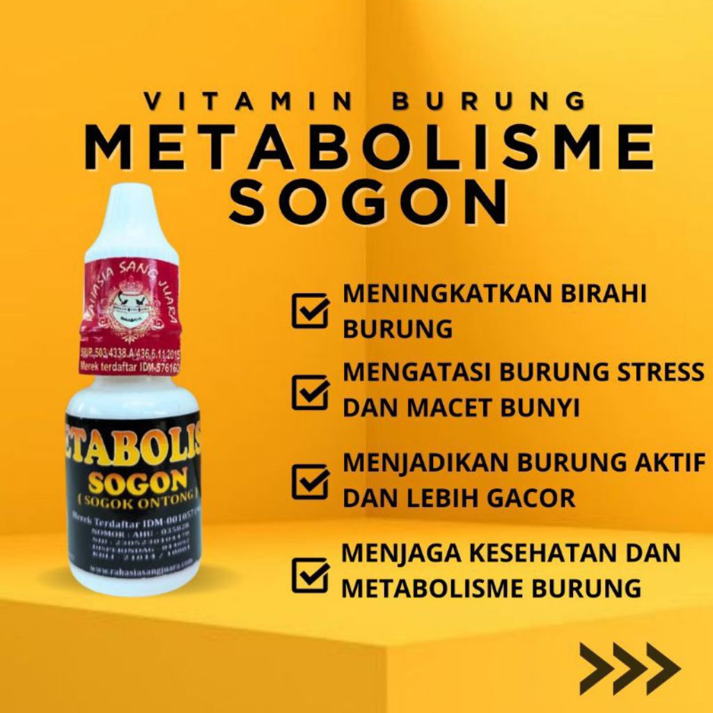 METABOLISME SOGON SOGOK ONTONG 15 ml