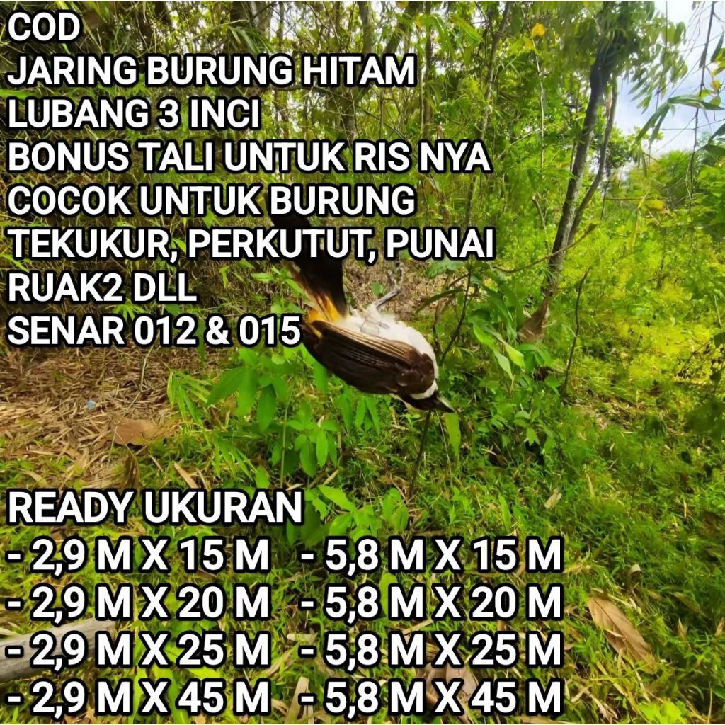 COD JARING BURUNG HITAM LUBANG 3 INCI BONUS TALI UNTUK RIS NYA COCOK UNTUK BURUNG TEKUKUR, PERKUTUT,