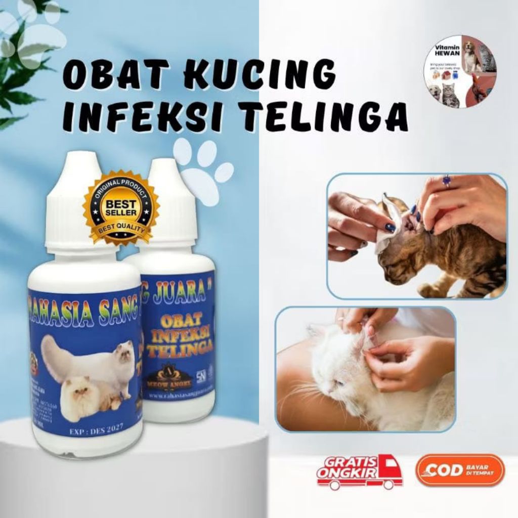 SUPLEMEN OBAT INFEKSI TELINGA KUCING