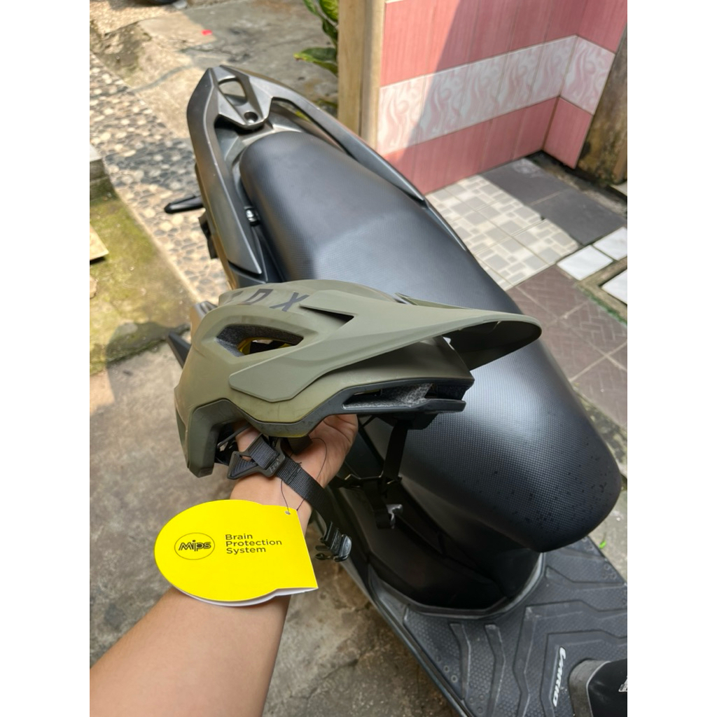 Helm Fox speed frame