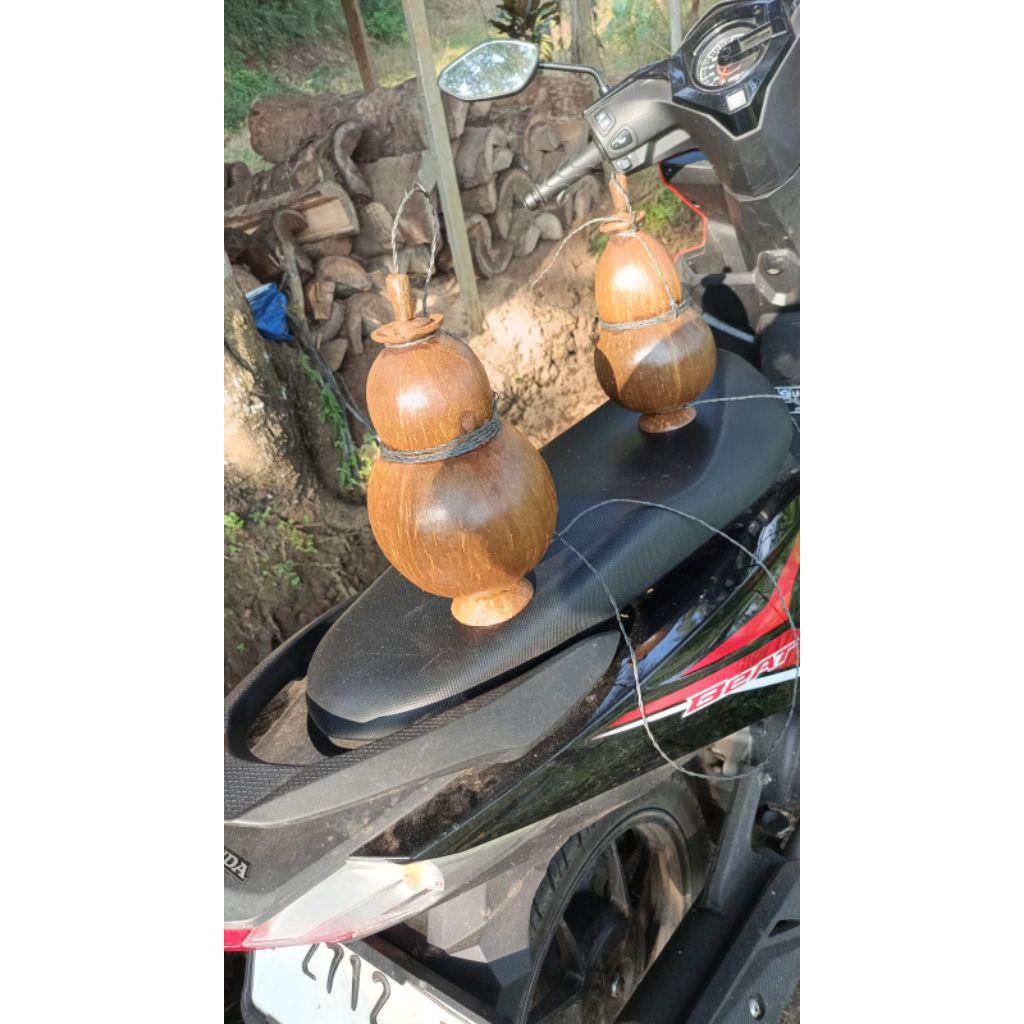 botol air minum kempis batok kelapa