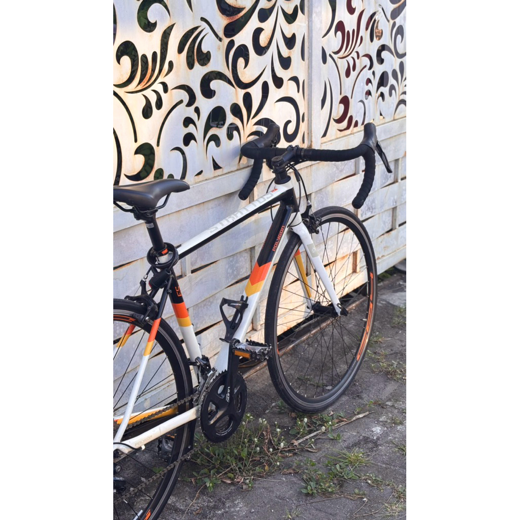 Roadbike Polygon Stratos S3 German Flag Size M 2022