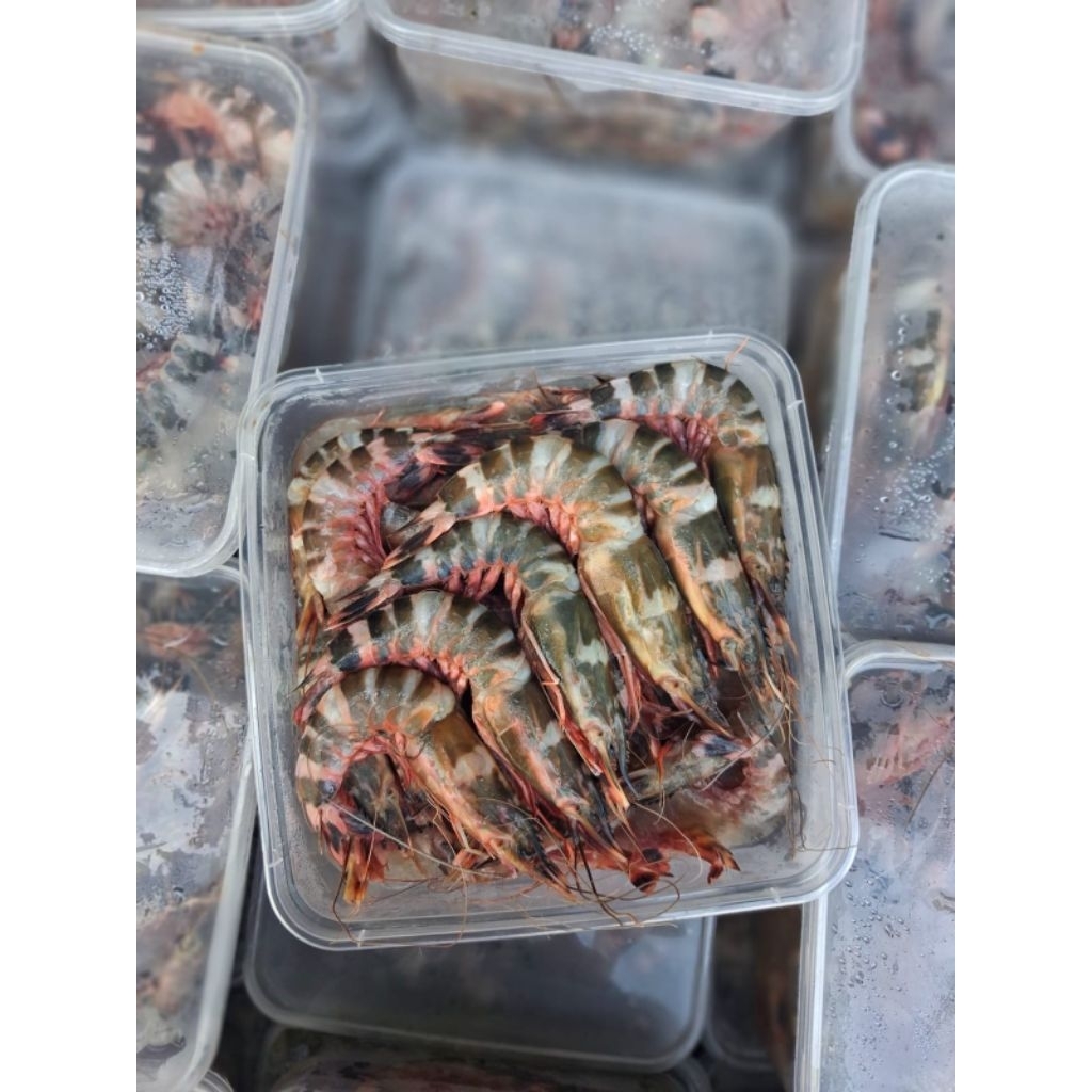 Udang Windu