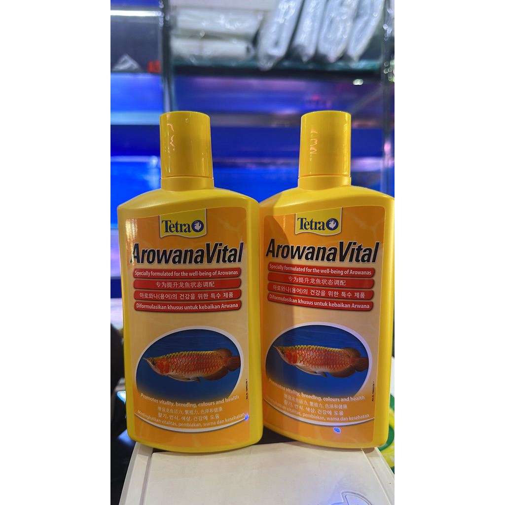 AROWANA VITAL/ tetra arowana vital/obat ikan arwana