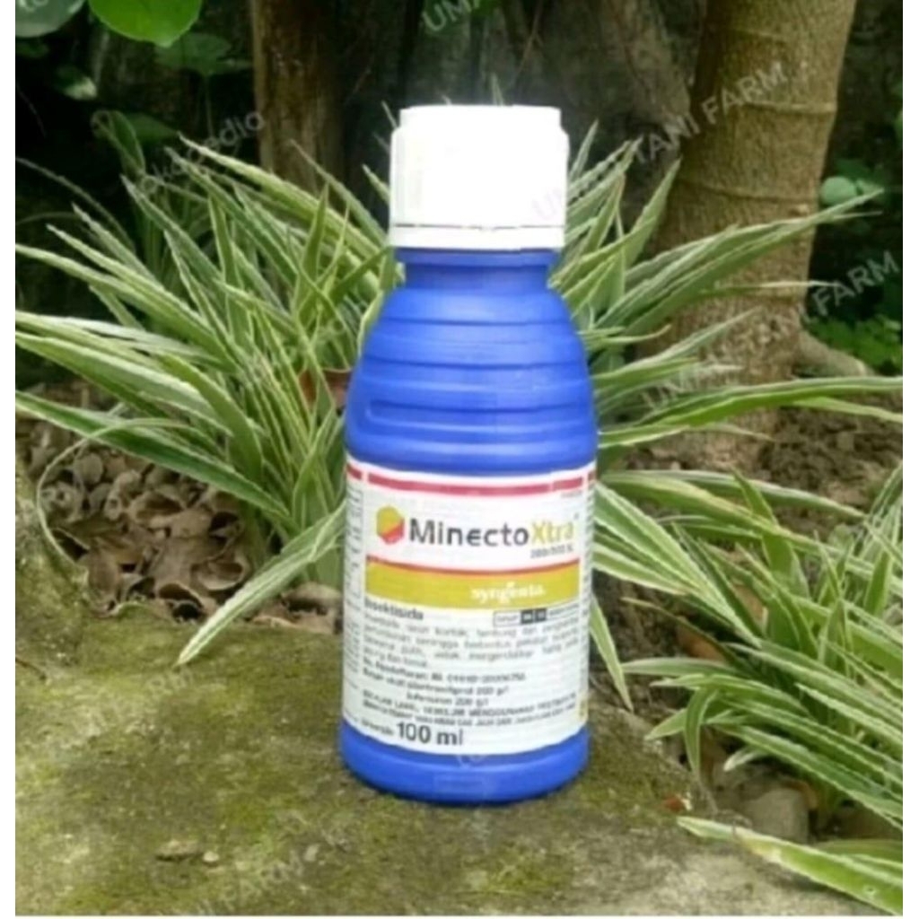 minecto xtra 100ml
