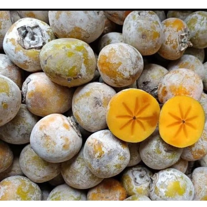 Buah Kesemek 1kg Segerr