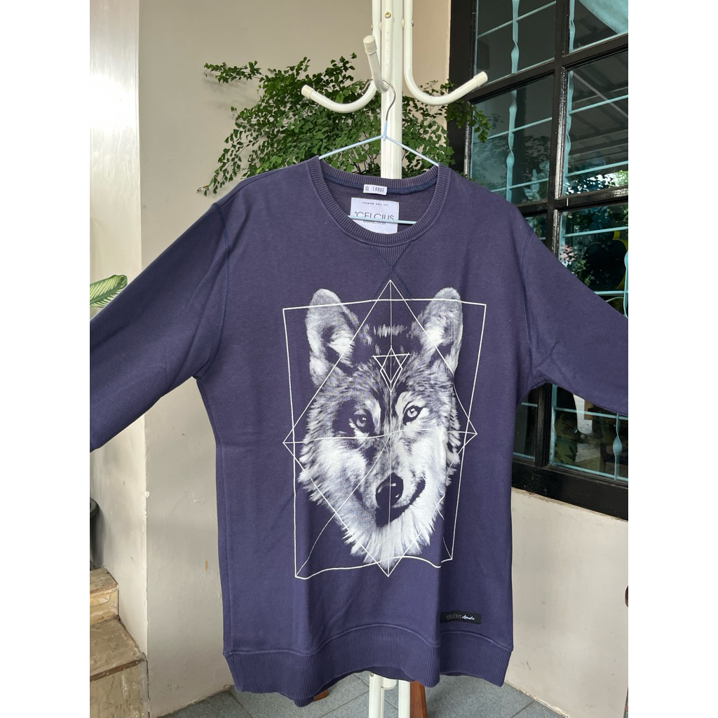 (preloved) crewneck Celcius