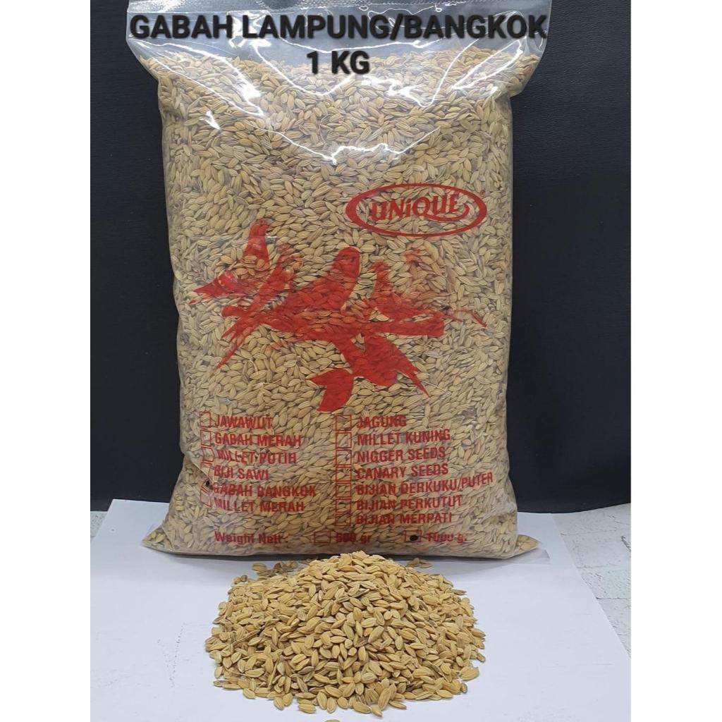 Gabah Bangkok/Gabah Lampung