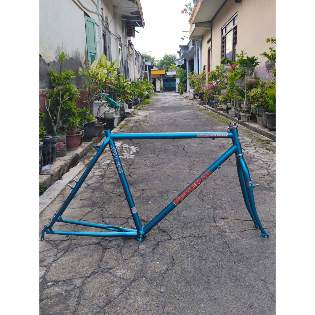 Frame Federal Size 21