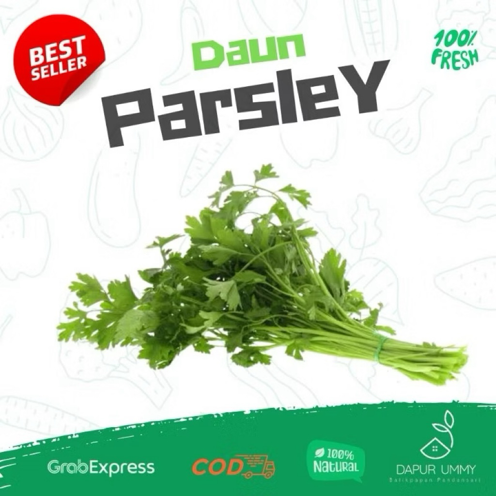SAYUR FRESH • Daun Parsley segar