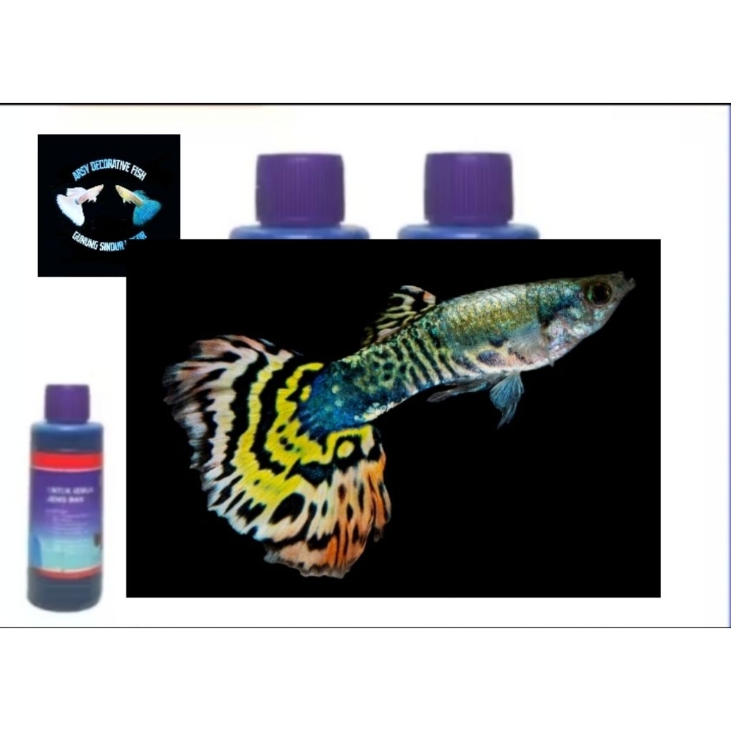 obat ikan, Guppy yellow tiger