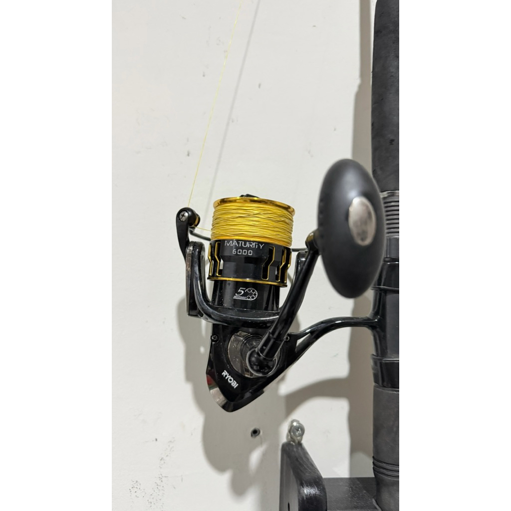 ryobi maturity 6000