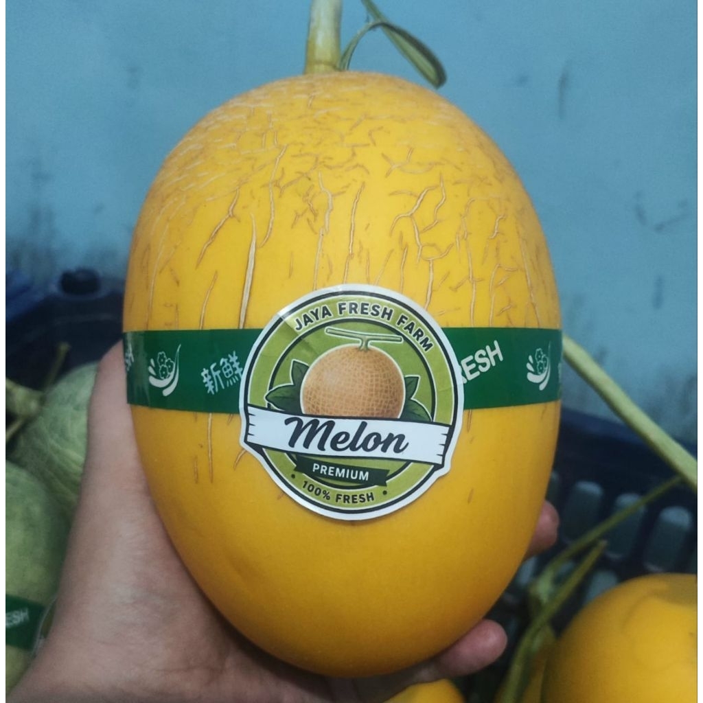 Melon Golden 1 buah