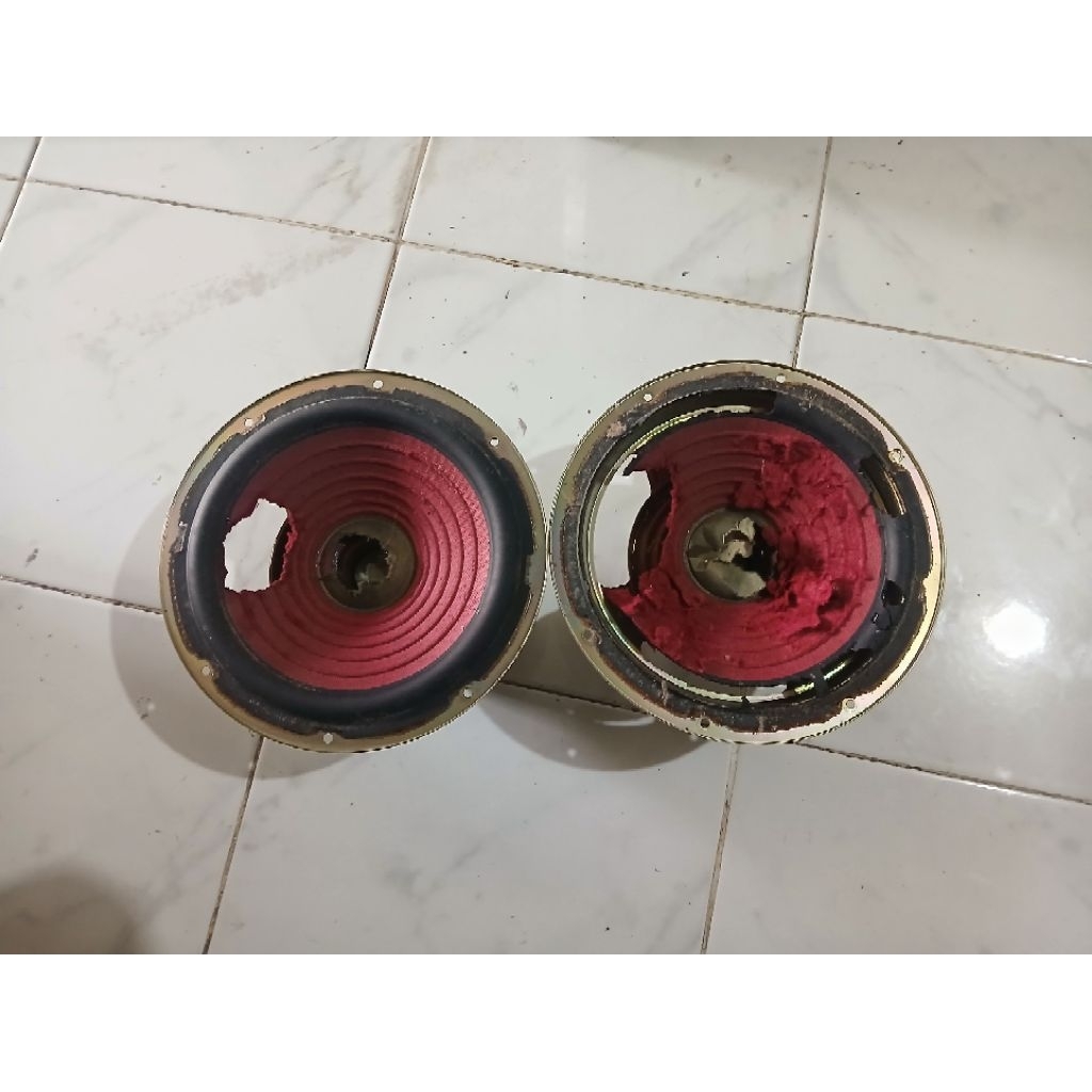 Speaker Super Woofer 8 inch dobel magnet SONY LBT