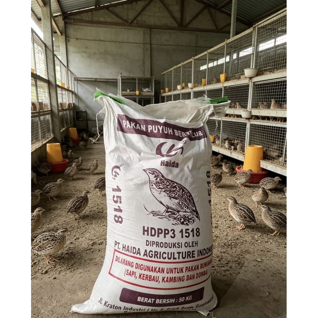 Haida pakan puyuh petelur Pur layer burung puyuh