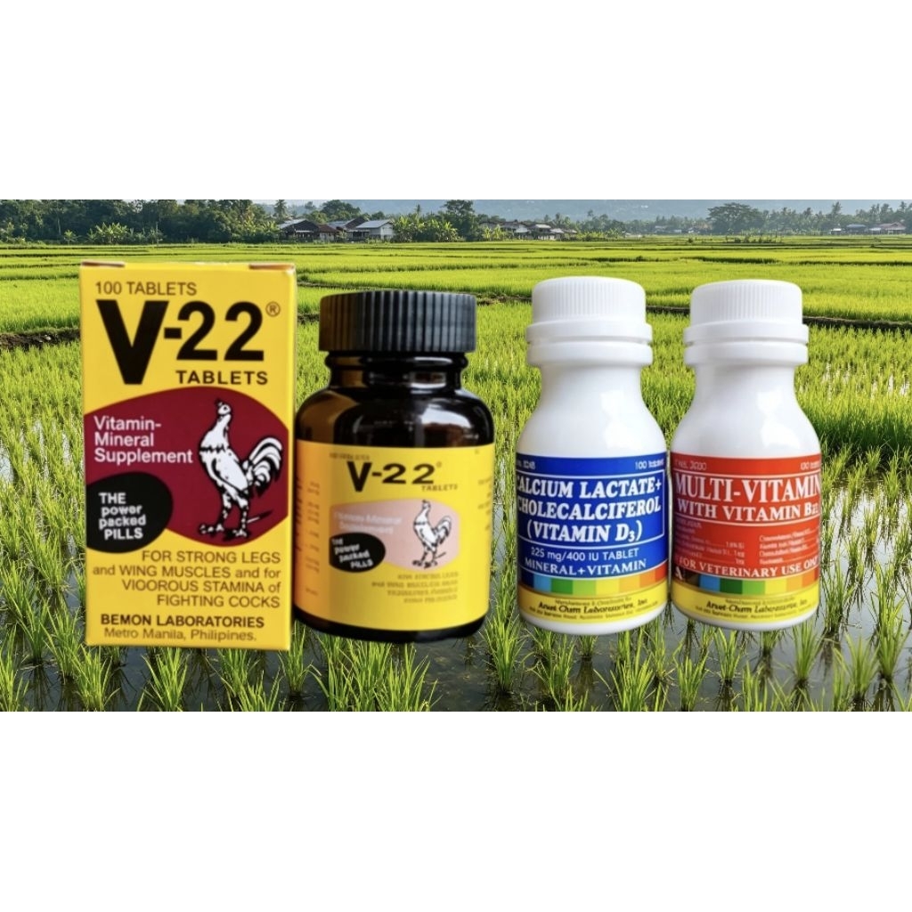 Suplemen Ayam aduan (V-22 bemon+Calcium lactate+Multivitamin)
