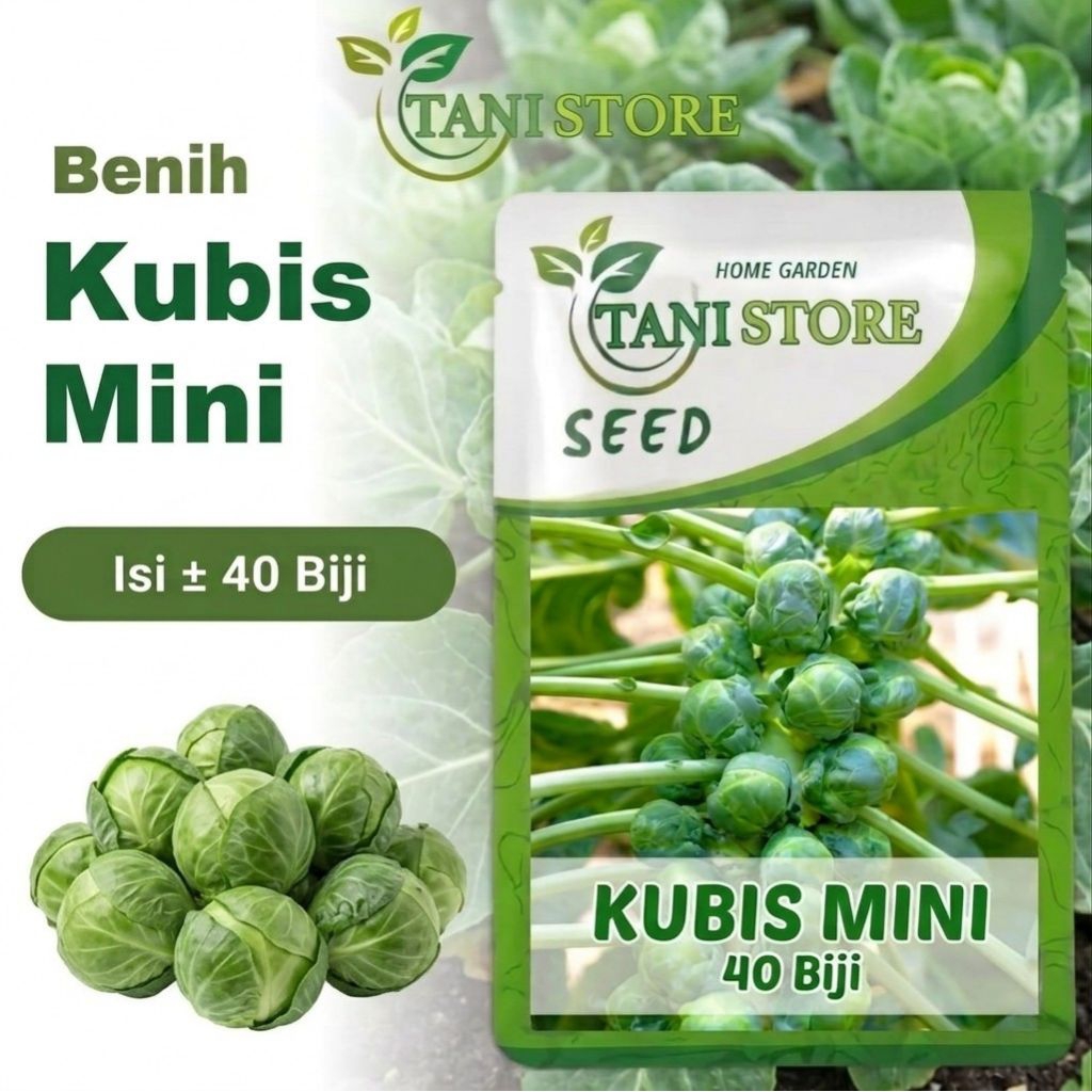 Benih Bibit Kubis Mini Jepang Repack ±40 Butir