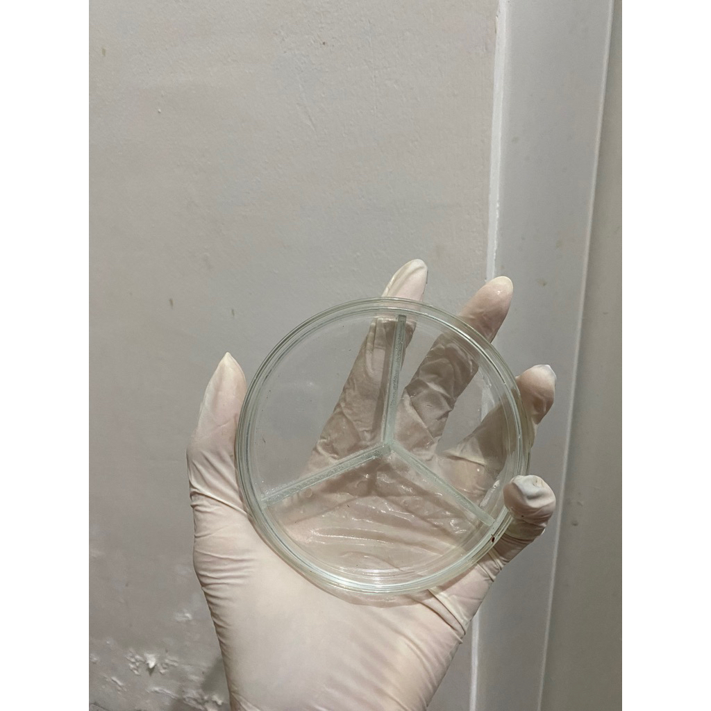 petridish bersekat