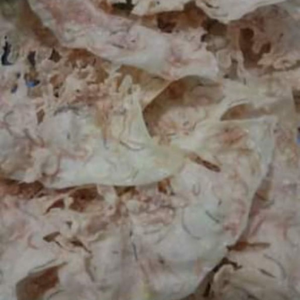 PEYEK REBON 500 GRAM ATAU 1/2 KG