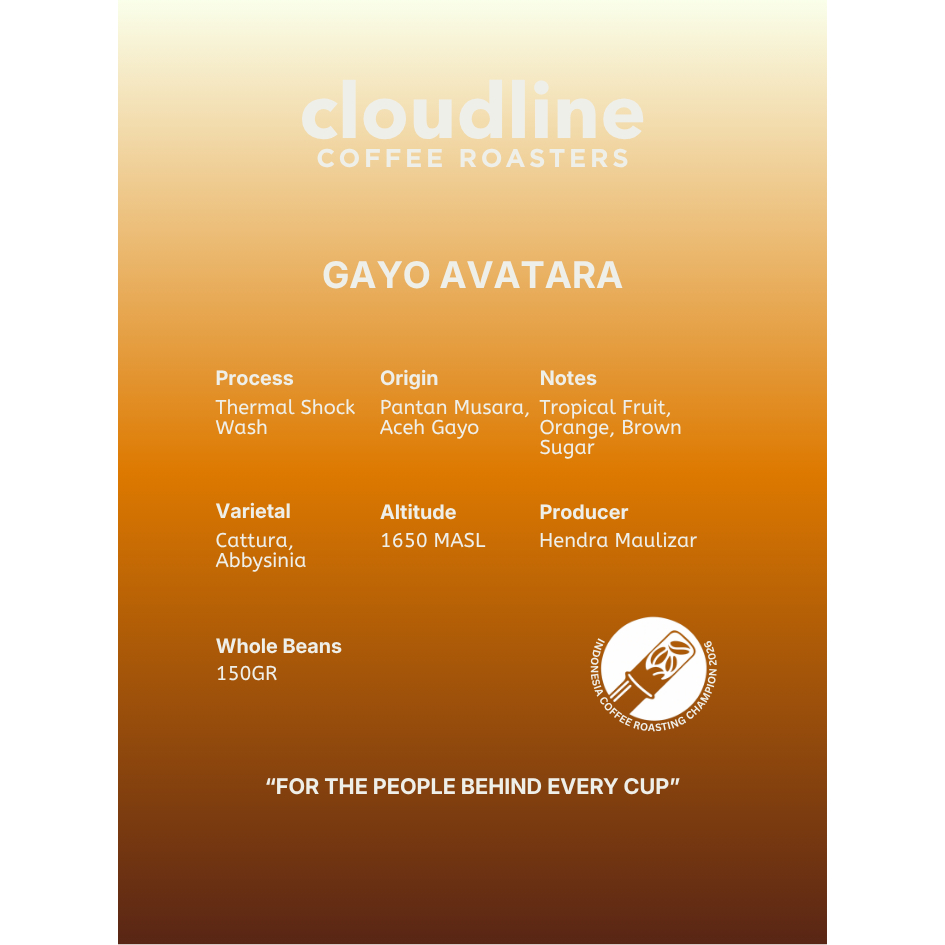 Cloudline Coffee - Gayo Avatara