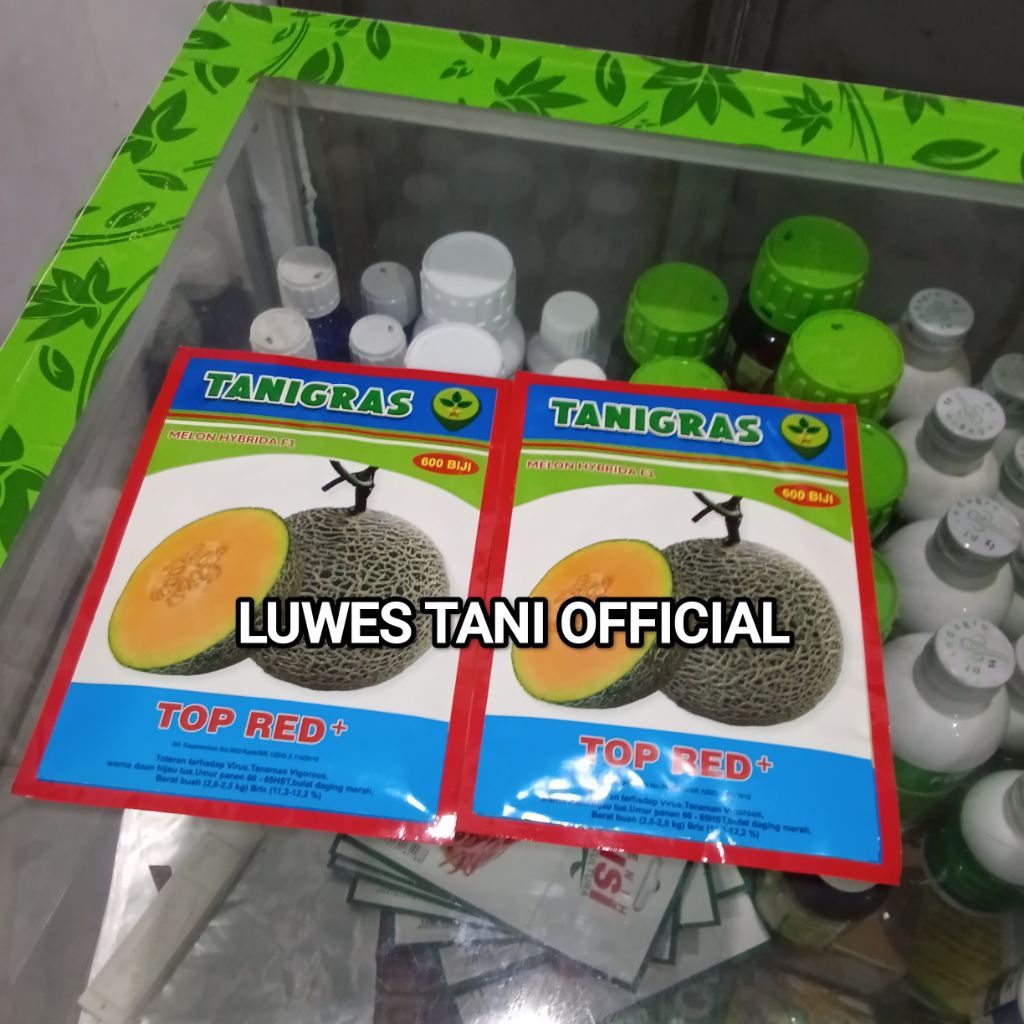 Benih Bibit Melon Top Red Plus F1, Isi 600 - 800 Butir, (Lebih Tahan Penyakit Buah lebih besar) Kada