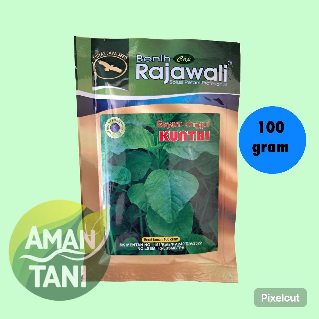 Benih bayam unggul kunthi kemasan 100gram cap rajawali benih bayam gajih