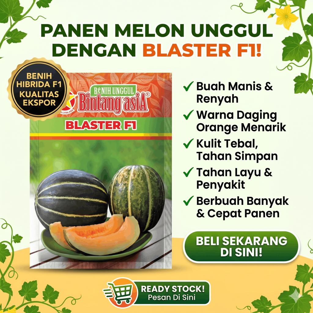 BLASTER F1 15 gr (Benih Blewah)