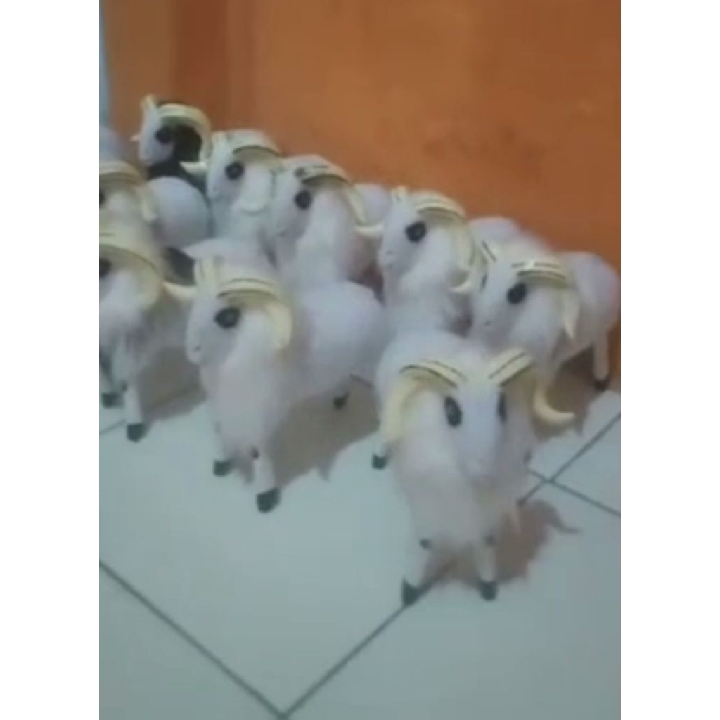 Miniatur Domba Garut