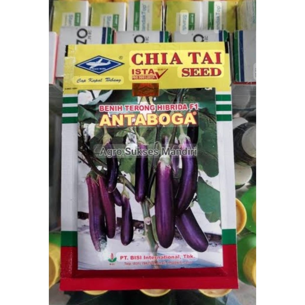 PROMO1.000 BENIH TERONG UNGU ANTABOGA F1