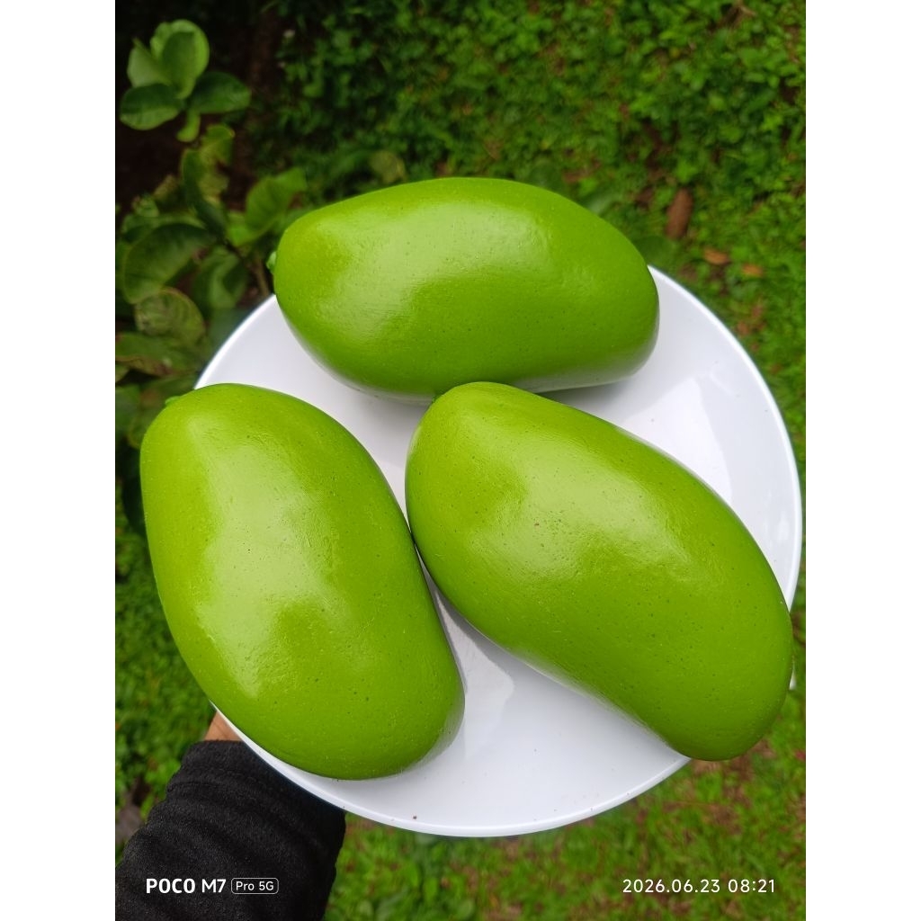 replika buah mangga jumbo