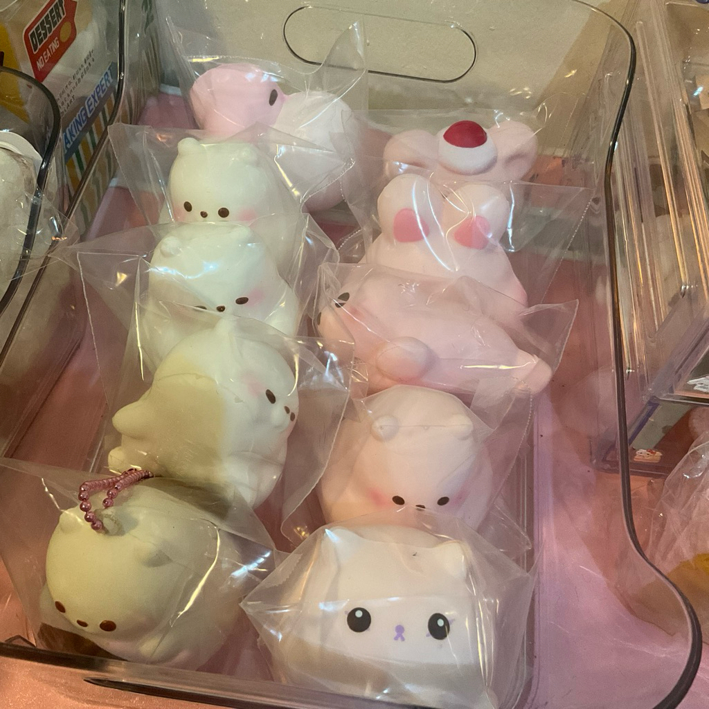 FLASH SALE SQUISHY IBLOOM