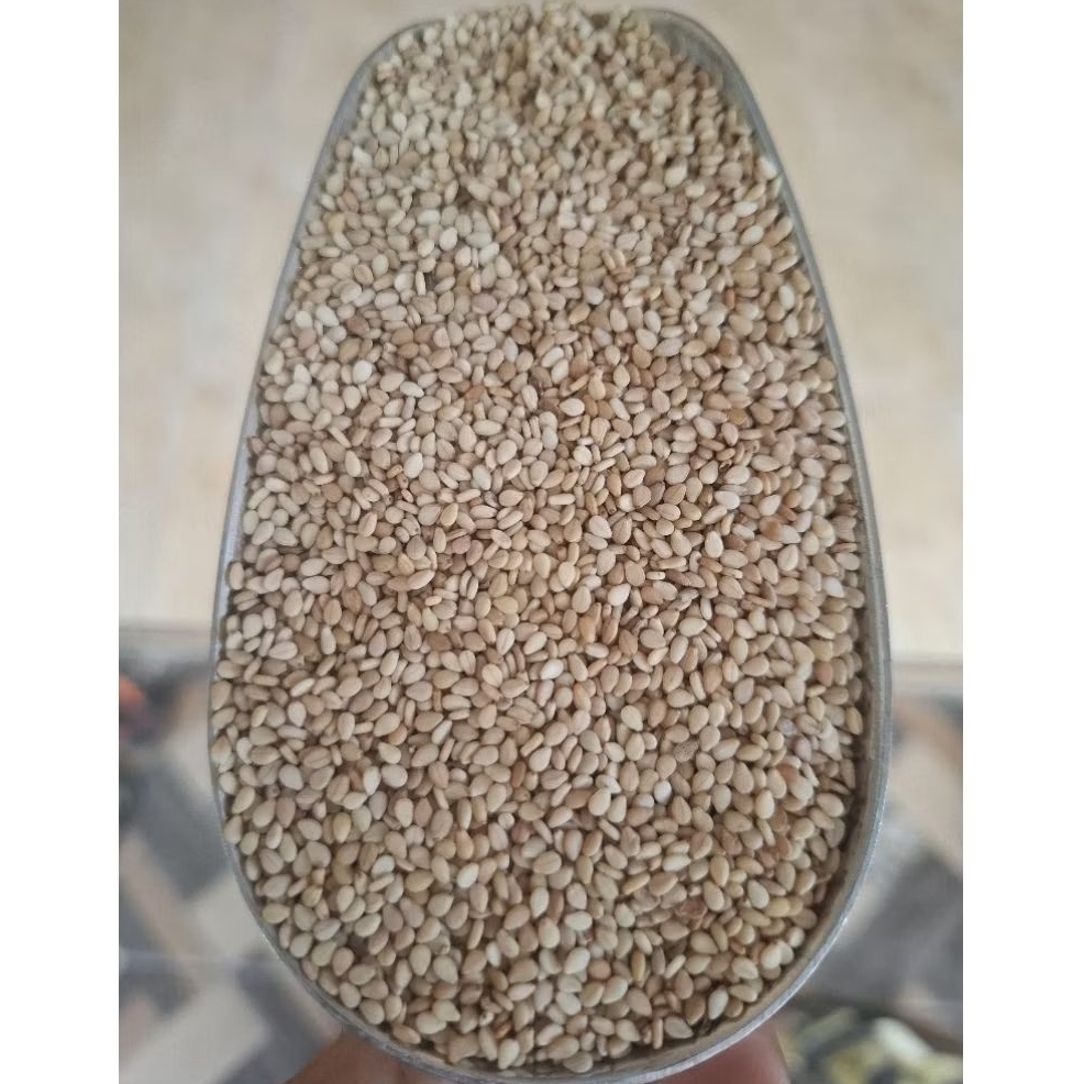 BIJI WIJEN, Lokal Madura, Kualitas Premium, Bersih
