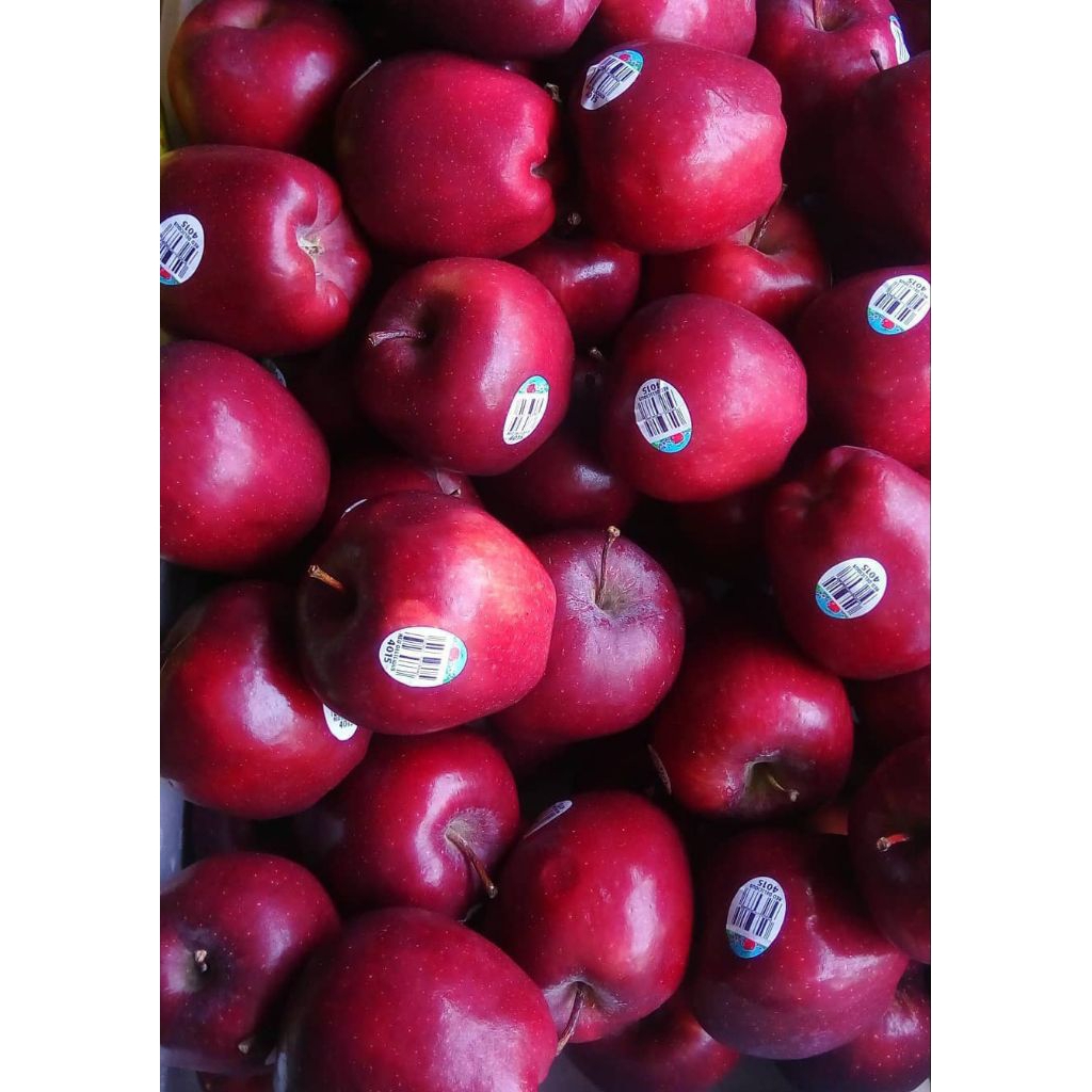 Apel merah 1KG buah apel merah apel merah segar buah segar bandung buah bandung apel merah manis