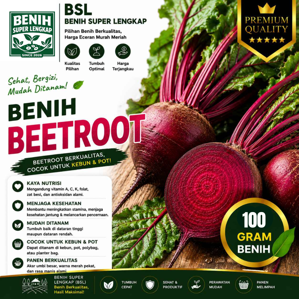 ( 100 Gram ) Benih Biji Buah Bit | Beetroot | Buah Beet | Ubi Bit | UKI BIBIT