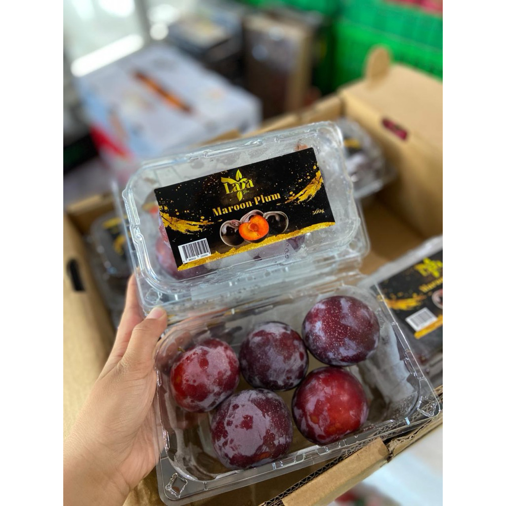 buah plum maroon cherry merah buah plum import per pack