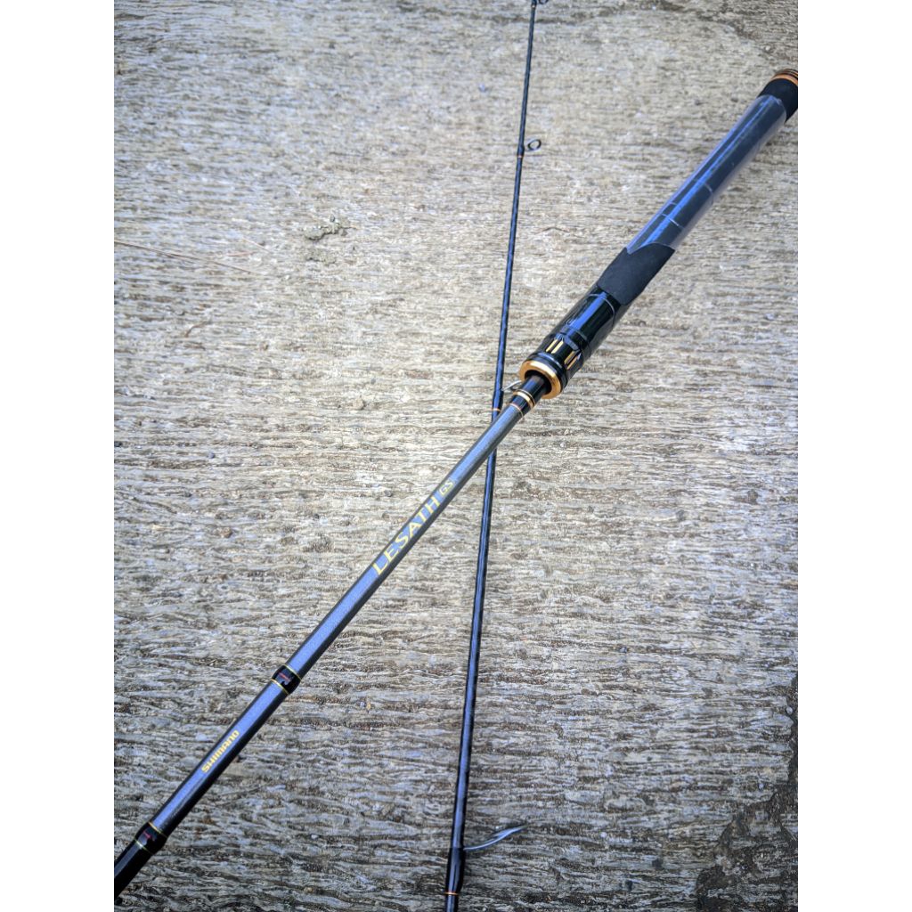 Joran Custom Lesath GS Blank Carbon Hollow Xwrap