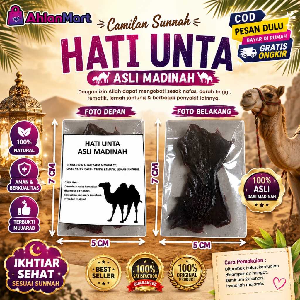 Menyembuhkan Penyakit Paru Paru Hati Onta Unta Camel