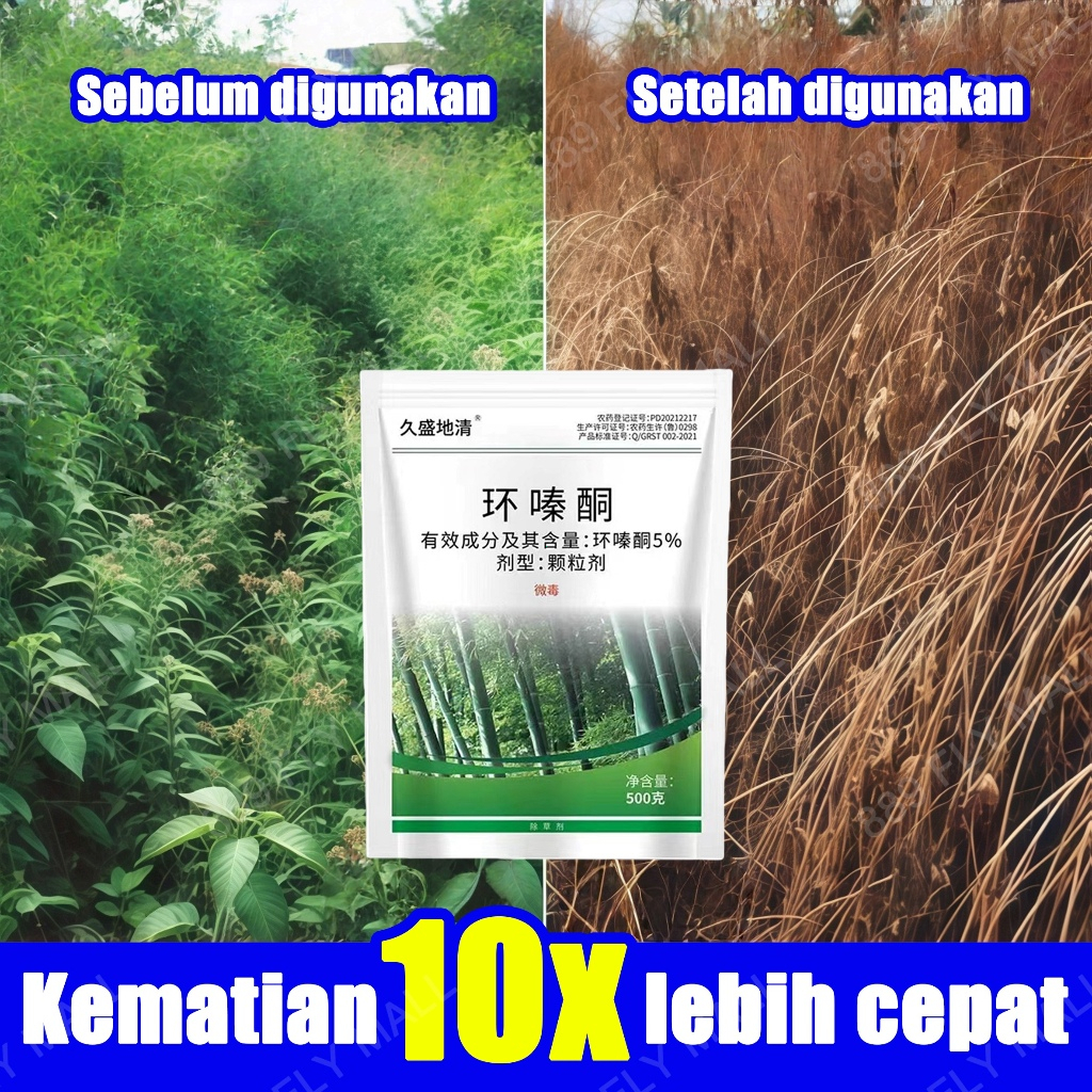 racun rumput paling ampuh herbisida pembasmi rumput liar obat rumput racun pohon besar ampuh racun b